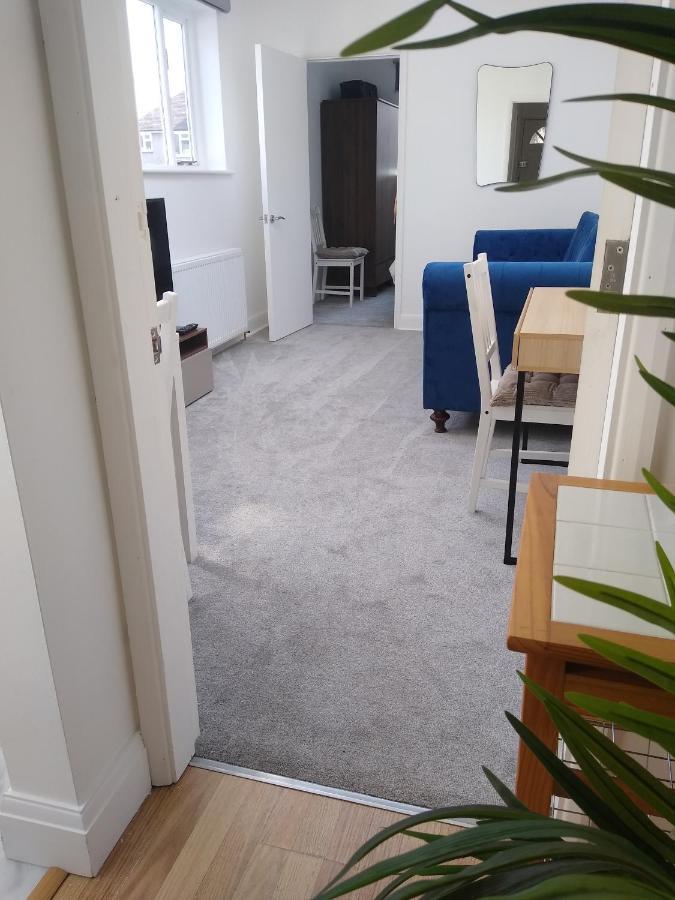 Lime Tree Garden Twickenham