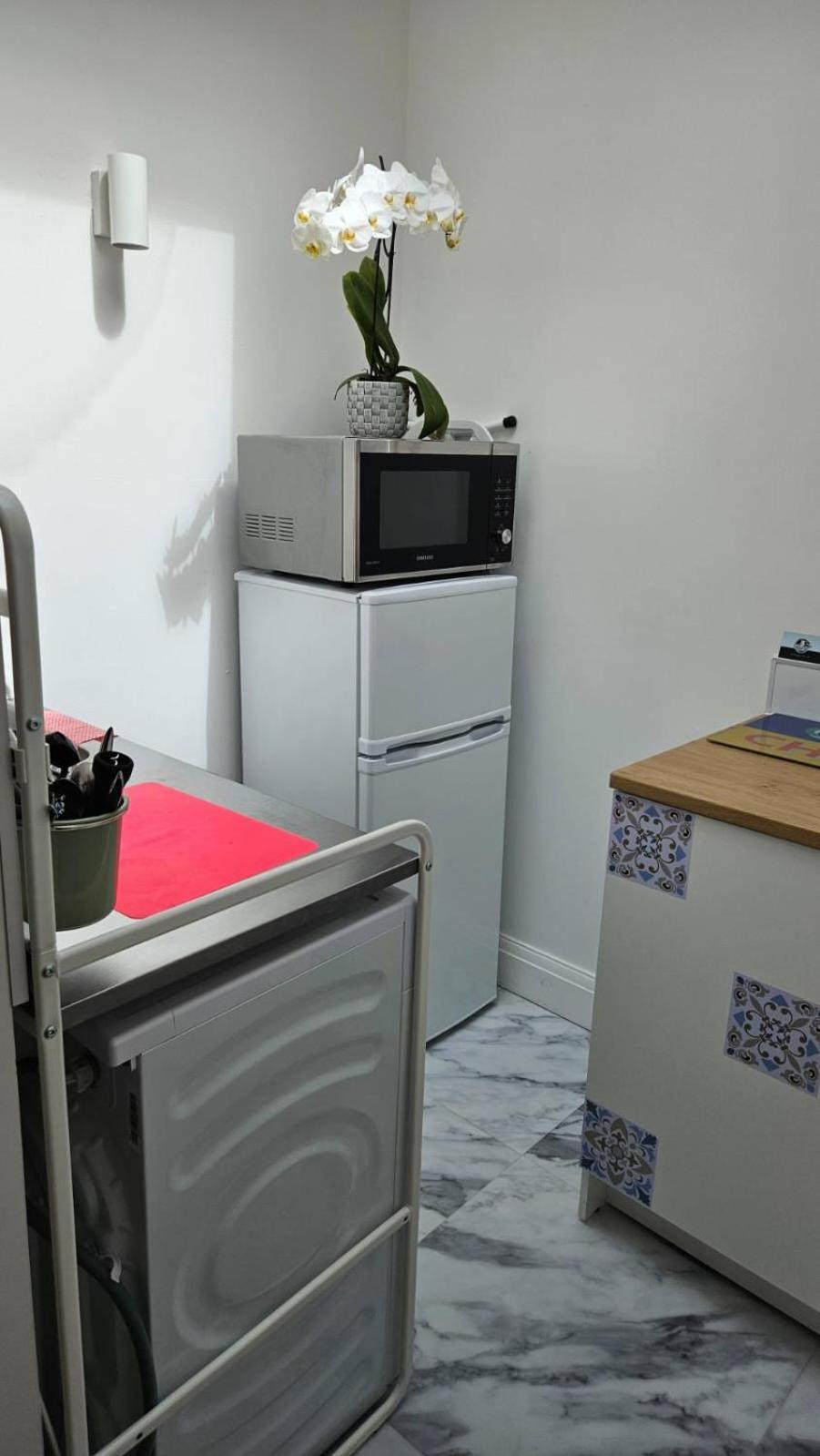 Apartment Lime Tree Garden Twickenham